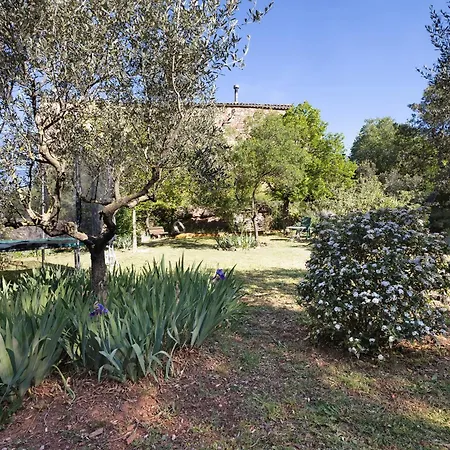 Holiday home Cal Malla Petit